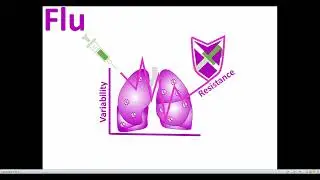 Video Synopsis: Host succinate inhibits influenza virus infection (The EMBO Journal)