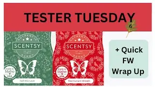 Tester Tuesday NEW FW Fall Into Love, Red Currant Wreath and Wrap Up / Summary (Scentsy Reviews)