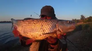 ГЛЯДЕЛКИ