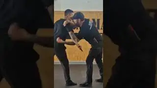 AMP Defensive Tactics | Entrenamiento con Arma Corta y Larga / Force on Force (06 Noviembre, 2025)