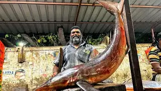 #KASIMEDU MINNAL RAJA BIG SHARK FISH CUTTING # KASIMEDU #KASIMEDU MEENGAL