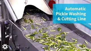 Vanmark Pickle Washing & Cutting Processing Line