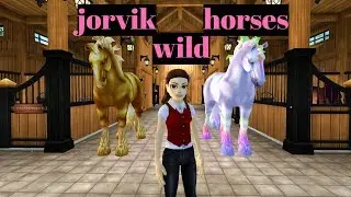 buying crazy magic horses! (jorvik wild horses are in season) #jorvikwild