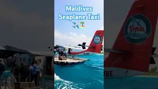 Maldives Seaplane Taxi ✈️🏝️ #maldives #bellevuechannel #islandsofsummer