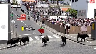 Espera de Gado Sanjoaninas 24-06-2025 Ganadeiro E.R.