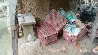 RANCHINHO  DE  TAIPA NA ROÇA  26 12 2025 MUTUIPE BAHIA 