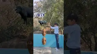 cow,, buffalo,, goat,, lion VFX magic //youtubeshorts#trending#shorts#funnyshortsfeed#comedy(part12)