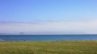 Oregon Coast Meadow Free Stock Footage