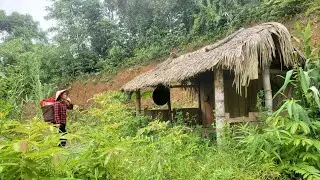 The Girl Without Home: Found a new place to live - Go Pick Bamboo Shoots to Sell for Money