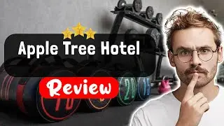 Обзор отеля Apple Tree Hotel Istanbul &mdash; что нужно знать перед проживанием здесь