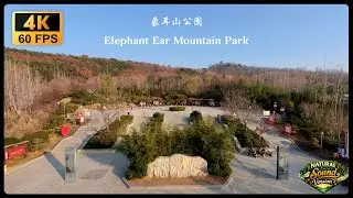 Elephant Ear Hill Park, Qingdao (Natural Sound Version) 青島市 象耳山公園 (自然聲版)