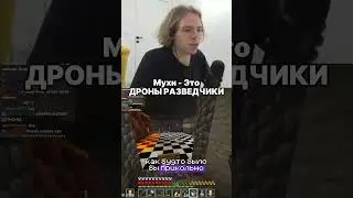 Мухи - Это Дроны Разведчики | twitch: fivfiv001 #fivfiv001 #фывфыв #fivfiv #twitch