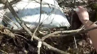 More Airsoft Easter Egg ASMR