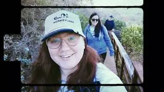 Knysna, SA - Day 3: Dalene Matthee Big Tree, Garden Route, The Head (May 2022) | Stacey J Lipowski