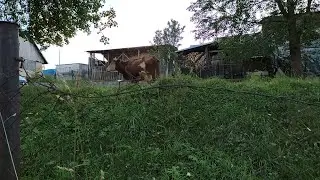 Star&yacute; Kr&aacute;m a Nov&yacute; Kr&aacute;m Čierny Balog