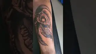 The bull skull