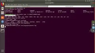 How to get docker container's shell