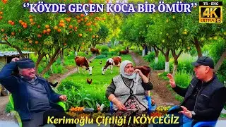 Köyceğiz Portakal Bahçesi Gezisi  | Doğayla İç İçe Bahçede Geçen Bir Ömür