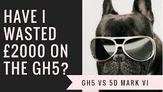 Panasonic GH5 Vs Canon 5D Mark iv - which should I keep??