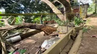 The Balite Hideout 