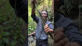 fishing for eels in a cave hole #eelfishing #eel
