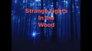 Strange Lights in the Woods