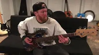 Graysea - Cleanse (Bass Playthrough)