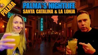 The Palma Nightlife Experience: A Bar Guide