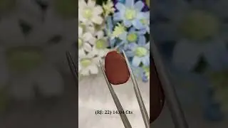 Red Jasper: 22 (14.04 Carat)