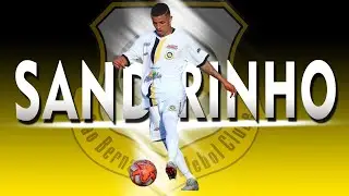 ● Sandrinho ● Atacante ● 2019 ●