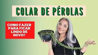 Como recuperar o 