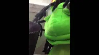 Rasta Frog