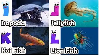 Alphabet Song with Sea Animals | ABC Learning Video for Preschool Kids | Koko Study Class
