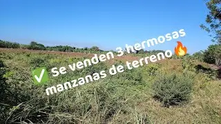 🔥 3 hermosas manzanas de terreno🤩 ubicadas cerca de nueva concepción Escuintla GT🔥🇬🇹