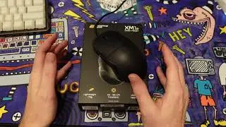 Обзор Endgame XM1R Dark Frost &mdash; лучшая проводная мышь 2020/2021 года