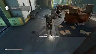 Dogmagic