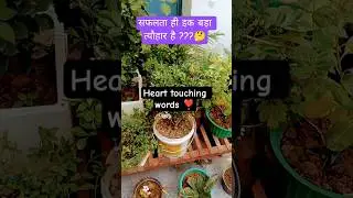Heart touching words 💖#home garden plants #plants lover #short videos #special plants
