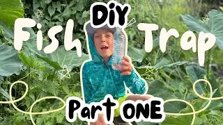 LEARN HOW TO BUILD THE EASIEST FISH TRAPS EVER!