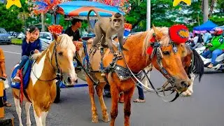 Naik kuda delman Istimewa | Full Lagu Anak-Anak Ceria & Edukatif untuk Si Kecil