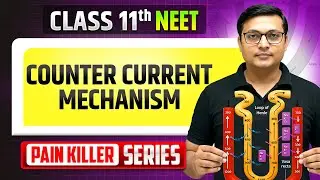 Counter Current Mechanism - From Basic to Advanced || NEET 2026