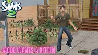 Sims 2 - Jacob Wants A Kitten