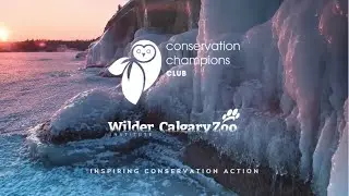 Conservation Champions Club: Program Information