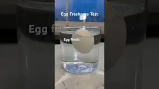 Egg Freshness Test 😲 #healthtips #healthhacks #foodhacks #nutritiontips #shorts