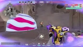 JELLYOUS.mp4