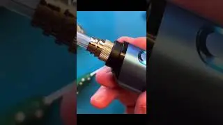 Seahorse in action. How it makes smoke