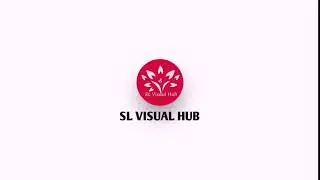 SL Visual Hub New Trailer 03 2020