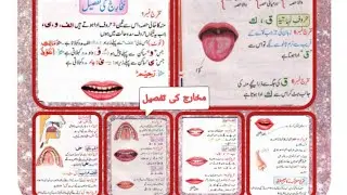 How to learn tajweed|Qawaid| Detail of Mukharij| Makhrij series 1to 17| shorts#viral#rules#letters