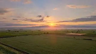 Wombat - noises music / mind relaxing music