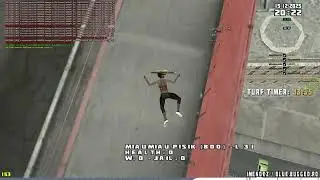 MiauMiau - Cheats (AIMBOT)