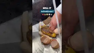 Testing the InSinkErator | Will it InSinkErate an entire plate of food waste?